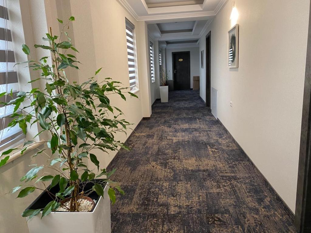 Hotel Yarus Plus Ploieşti Exterior foto